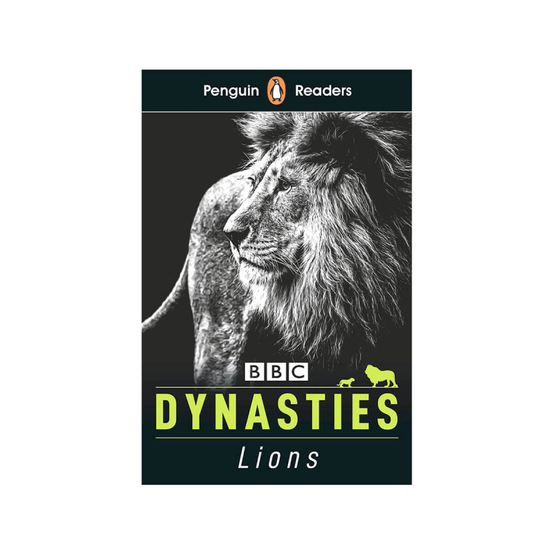 Dynasties  Lions