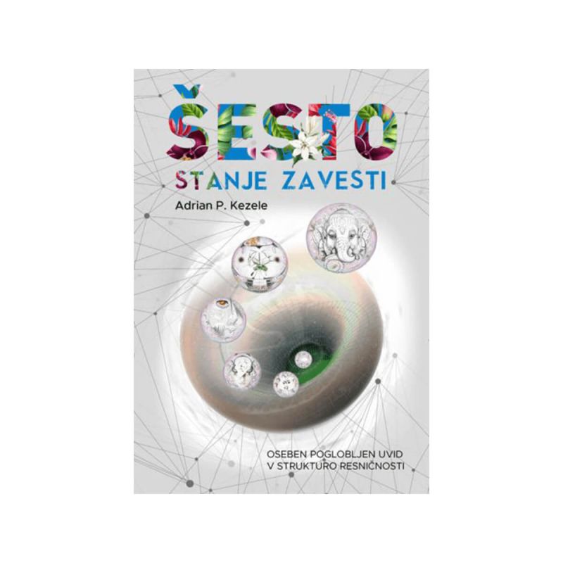 Šesto stanje zavesti