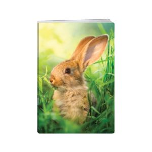 Zvezek, New Design, A4, 52-listni, karo 1 cm, Baby Animal