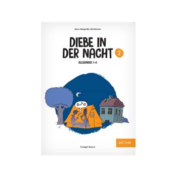 Diebe in der Nacht