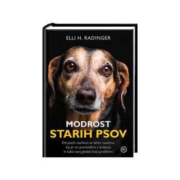 Modrost starih psov